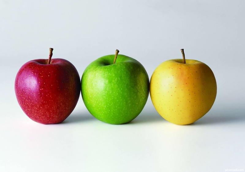 appletree歌曲曲谱