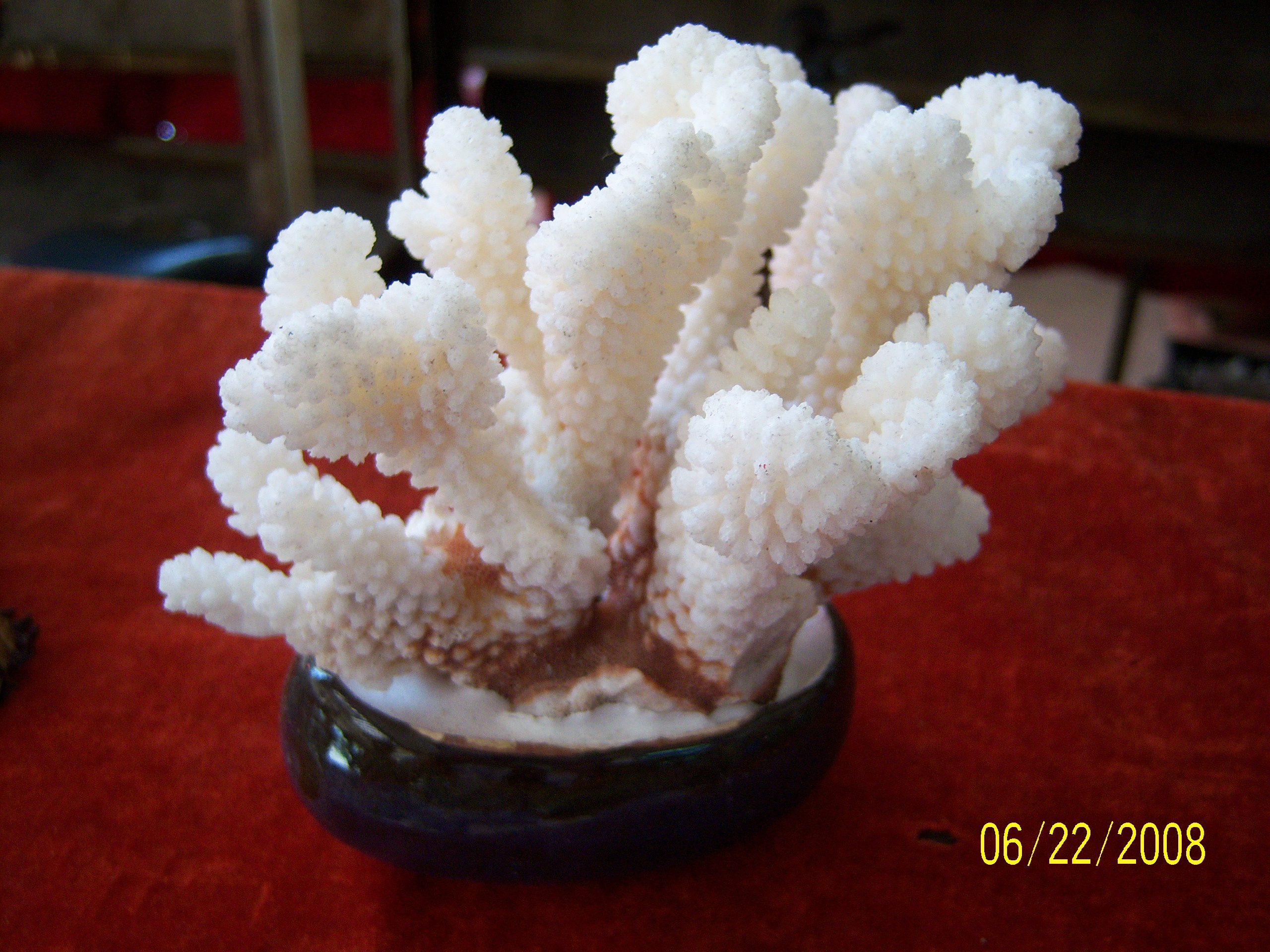大海啊故乡c调简谱